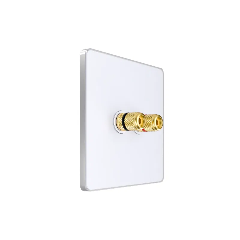 Systeme Electric SP Systeme Infinity IP20 音频插座 极地冰 LED SE FSE000187
