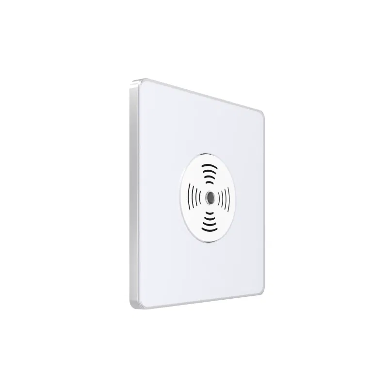 Systeme Electric SP Systeme Infinity 100W 230V 声控开关带延时功能 极地冰 SE FSE000194