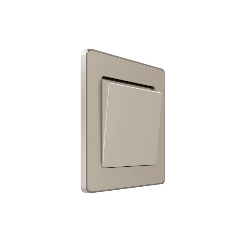 Card switch SP Systeme Infinity 230V 25A with time delay peschan. bereg SE FSE000514 Systeme Electric