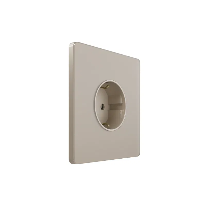 1孔 SP Systeme Infinity 插座 16A IP20 250V 带接地保护护盖 沙滩色 SE FSE000545 Systeme Electric
