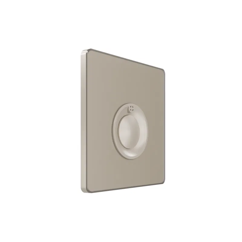 Systeme Infinity 100W 230V 砂秒定时按钮开关 SE FSE000568 Systeme Electric