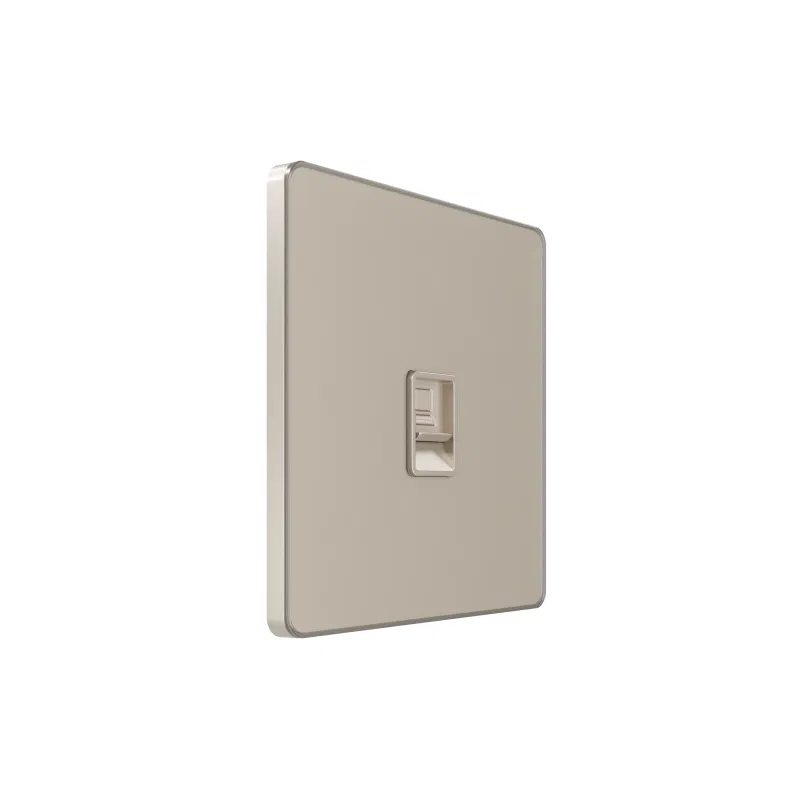 Information socket 1-gang SP Systeme Infinity RJ45 cat.5E IP20 sandy shore SE FSE000583 Systeme Electric