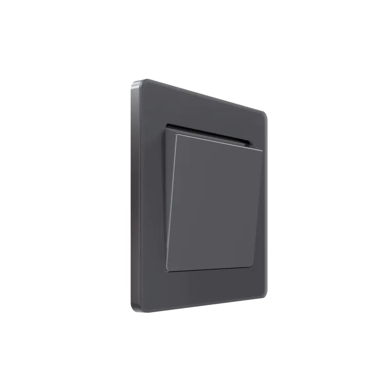 Card switch SP Systeme Infinity 230V 25AX with time delay volcanic ash SE FSE000714