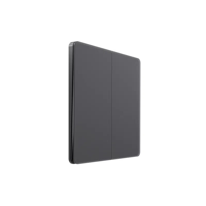 2路开关 Systeme Infinity 10A 250V 带复位功能 火山灰 SE FSE000717 Systeme Electric