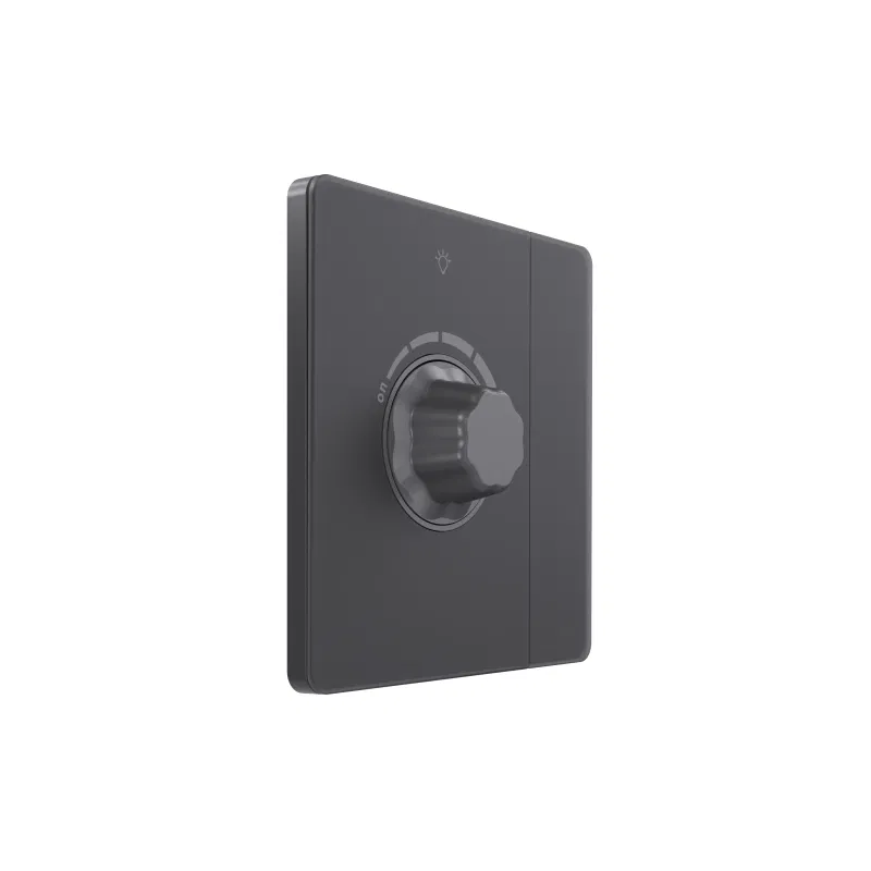 1路调光器 SP TRIAC Systeme Infinity 10A 300W 250V 带开关 火山灰 SE FSE000721 Systeme Electric
