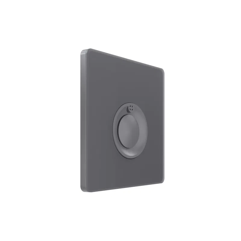 Systeme Infinity 100W 230V 定时按钮开关 火山灰 SE FSE000768 Systeme Electric