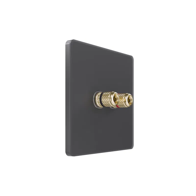 Audio socket SP Systeme Infinity IP20 volcanic ash SE FSE000787 Systeme Electric