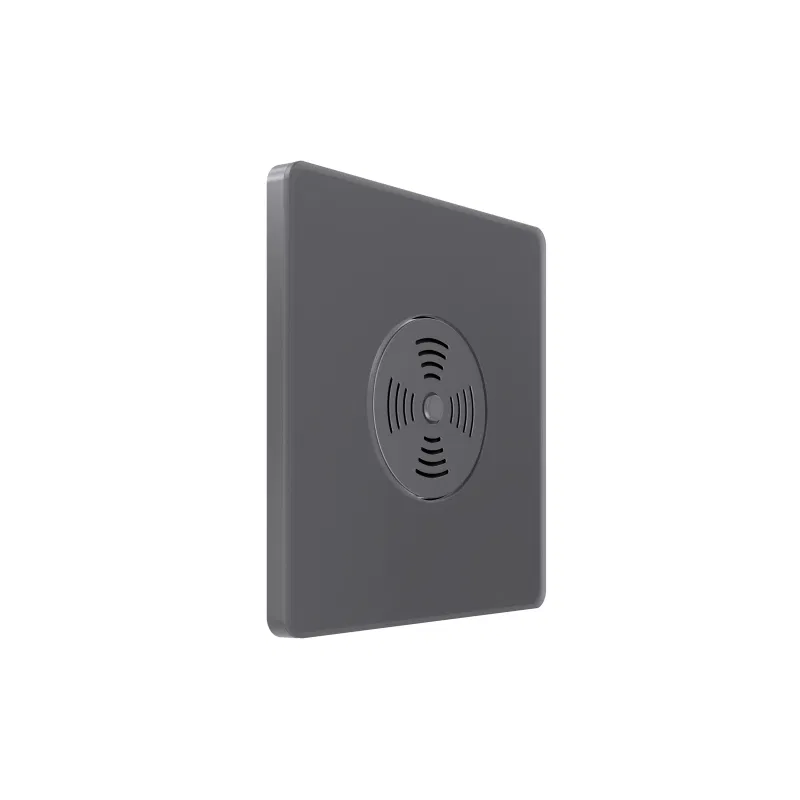 Sound switch SP Systeme Infinity 100W 230V with time delay volcanic ash SE FSE000794 Systeme Electric