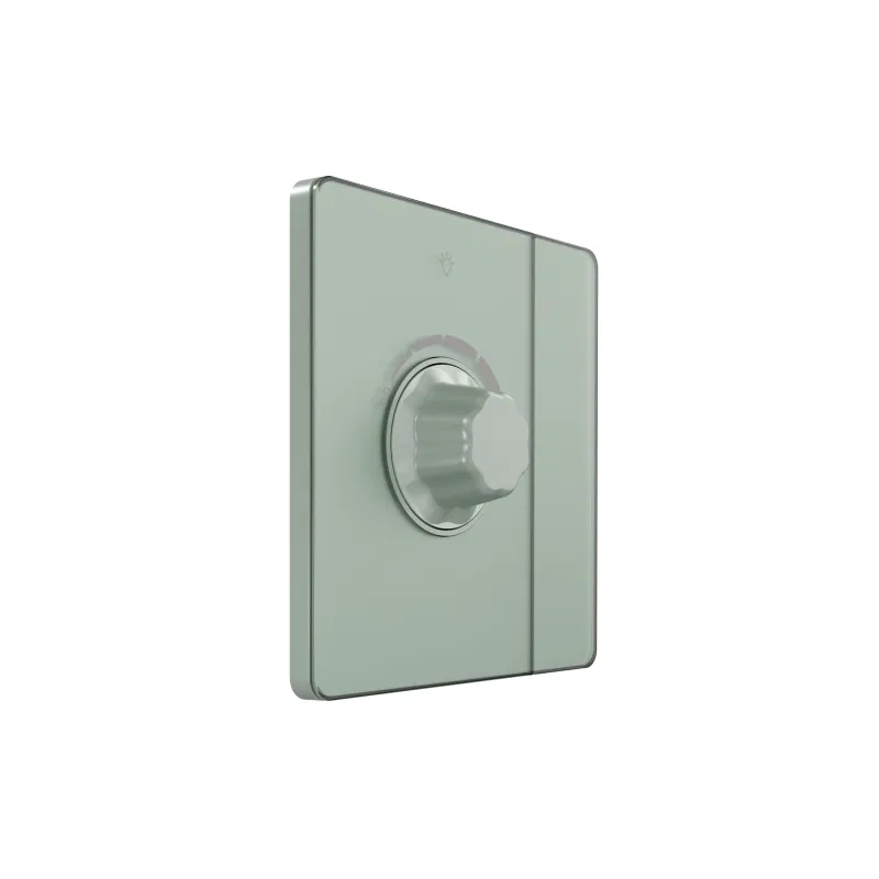 1路调光器 SP TRIAC Systeme Infinity 10A 300W 250V 带开关 Taezhoe Utro SE FSE000821 Systeme Electric