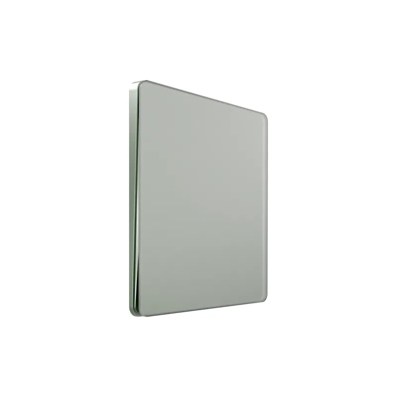 单刀单掷开关 SP Systeme Infinity 250V 10AX taežnoe utro SE FSE000861 Systeme Electric