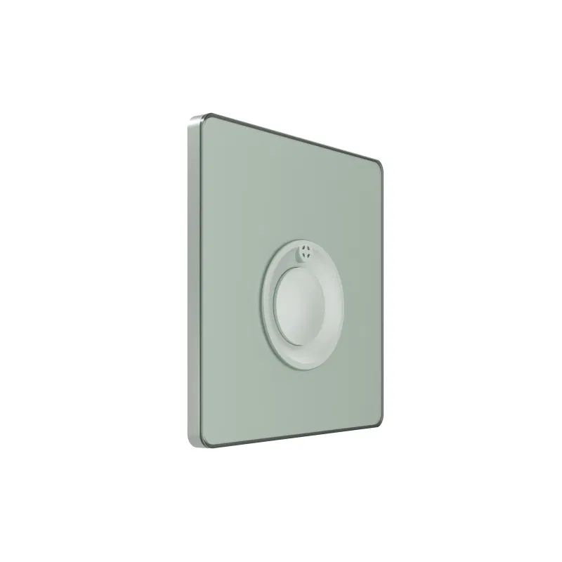 Push-button switch SP Systeme Infinity 100W 230V with time delay Taiga Morning SE FSE000868 Systeme Electric