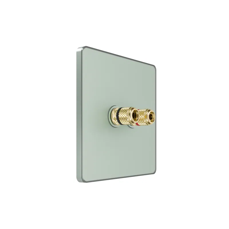 Systeme Infinity IP20 Taiga Morning SE FSE000887 Systeme Electric 音频插座
