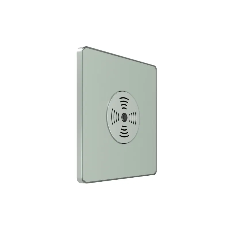 Sound switch SP Systeme Infinity 100W 230V with time delay Taiga Morning SE FSE000894 Systeme Electric