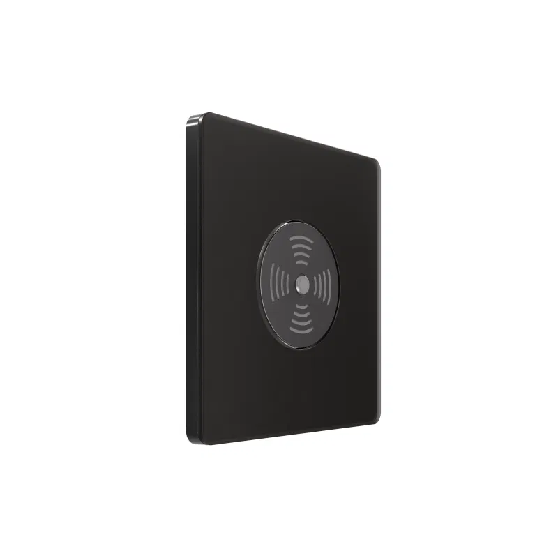 SP 蜂鸣器 Systeme Infinity 100W 230V 带延时 极地之夜 SE FSE001094 Systeme Electric