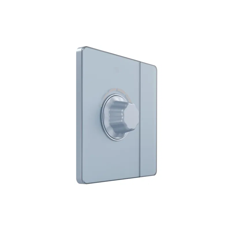 调光器 1路 SP TRIAC Systeme Infinity 10A 300W 250V 带开关 钢青色 SE FSE001121 Systeme Electric