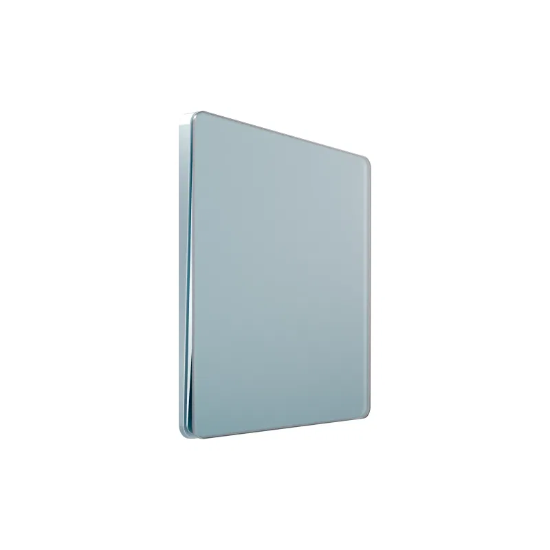 单刀单掷开关 SP Systeme Infinity 250V 10AX 钢蓝 SE FSE001161 Systeme Electric