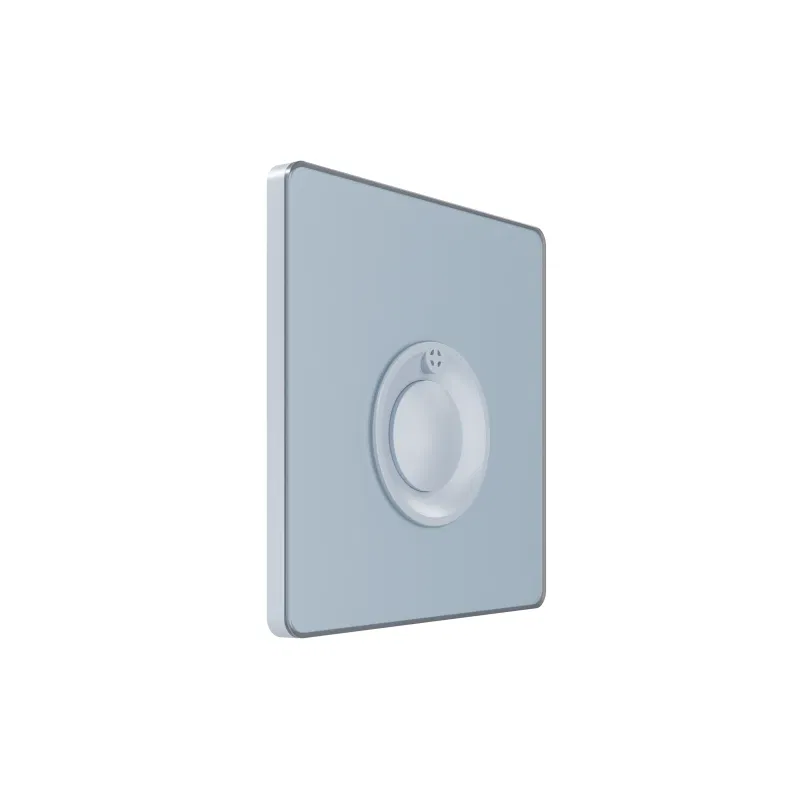 Systeme Electric SE FSE001168 Systeme Infinity 100W 230V 带延时按钮开关 钢蓝色
