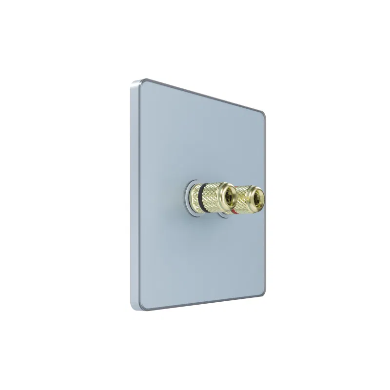 Audio socket SP Systeme Infinity IP20 steel sky SE FSE001187 Systeme Electric