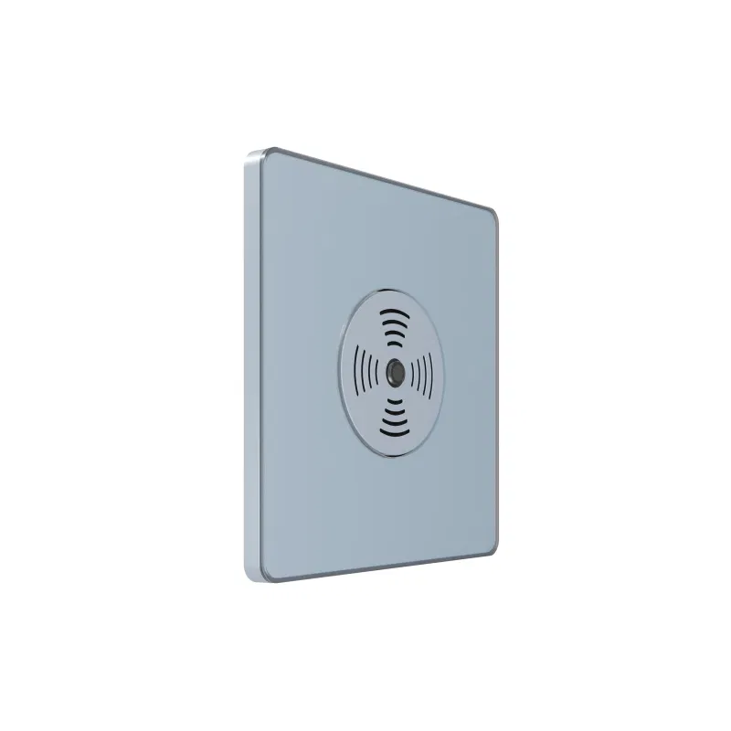 Systeme Infinity 100W 230V 带延时声响开关 钢蓝色 SE FSE001194 Systeme Electric