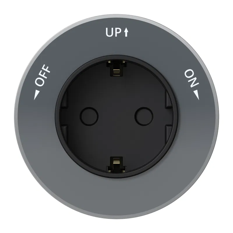 Розетка MultiTrack 16А 250В 2P+E кругл. графит SE MTK13001G Systeme Electric