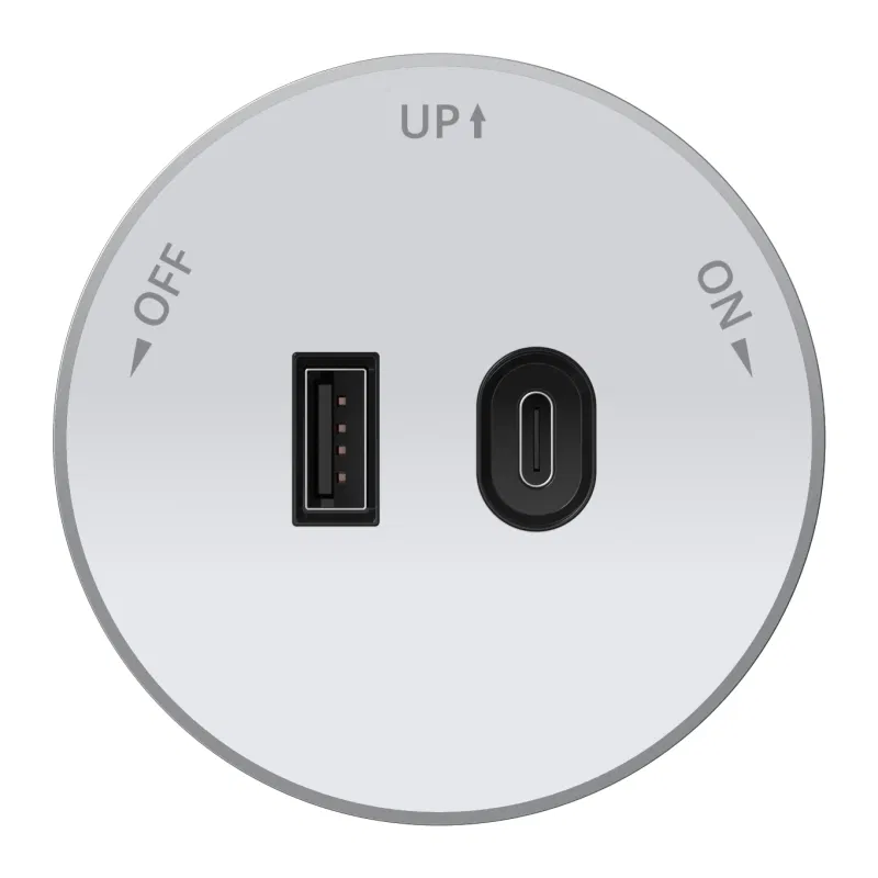 Розетка MultiTrack с 2-мя заряд. устройствами USB тип А+С 18Вт 5В/3А бел. SE MTK13003W Systeme Electric