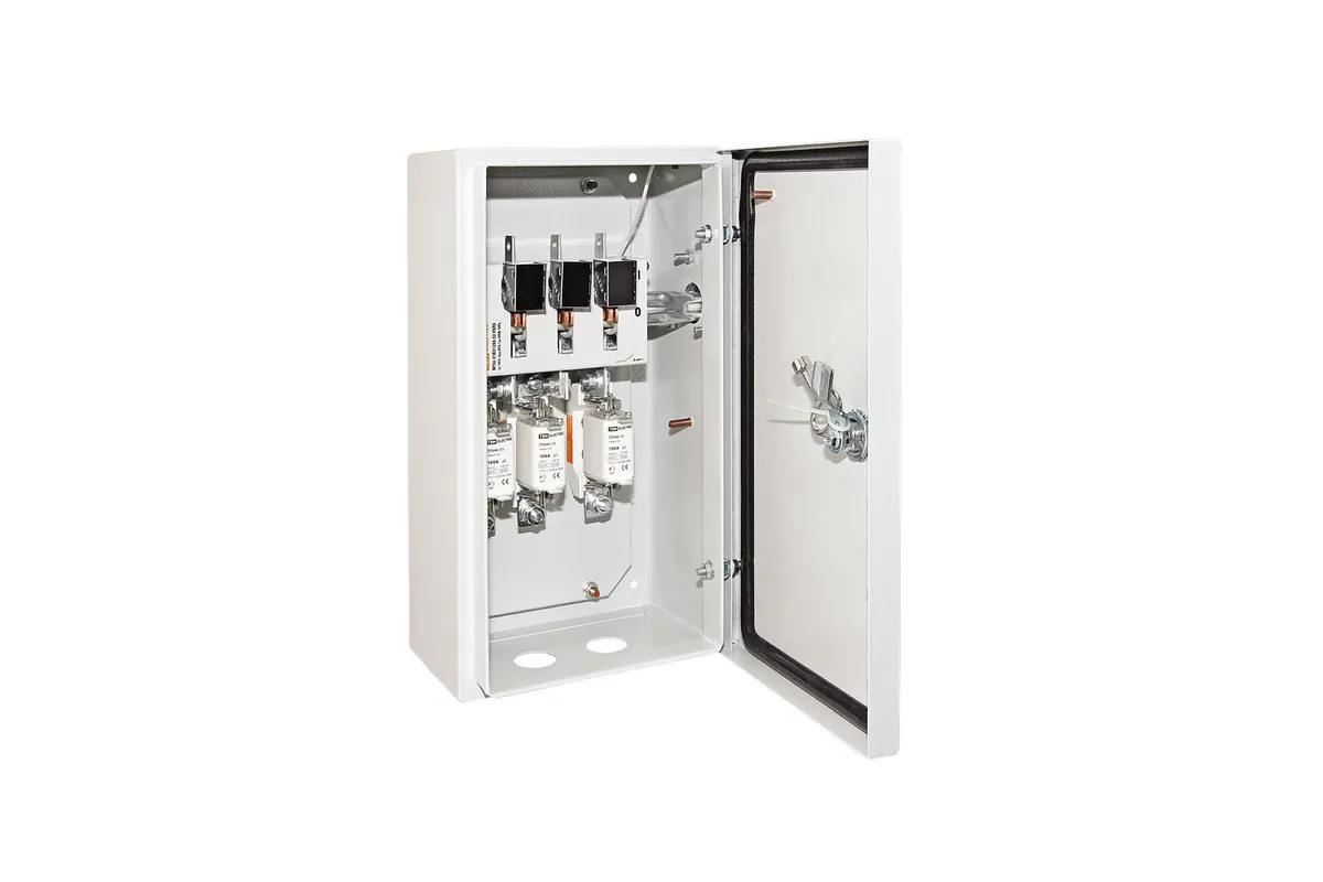 Ящик с рубильником и предохранителями ЯРП-100А IP54 (с ППНН) TDM SQ1602-0001