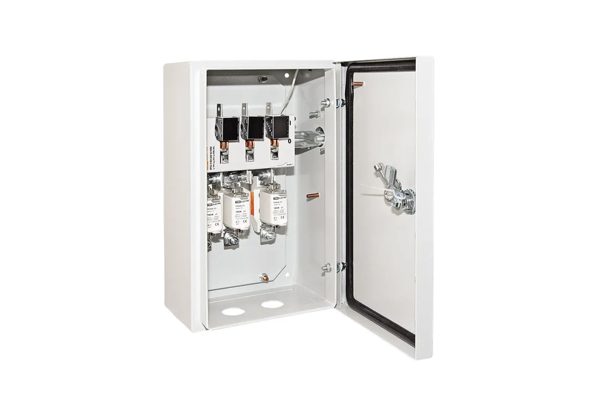 Ящик с рубильником и предохранителями ЯРП-250А IP54 (с ППНН) TDM SQ1602-0002