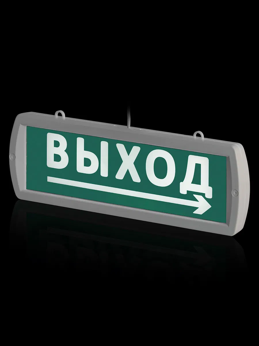Оповещатель охранно-пожарный световой Топаз-24-Д "Направление к выходу" 24 В, IP52 TDM SQ0349-0408