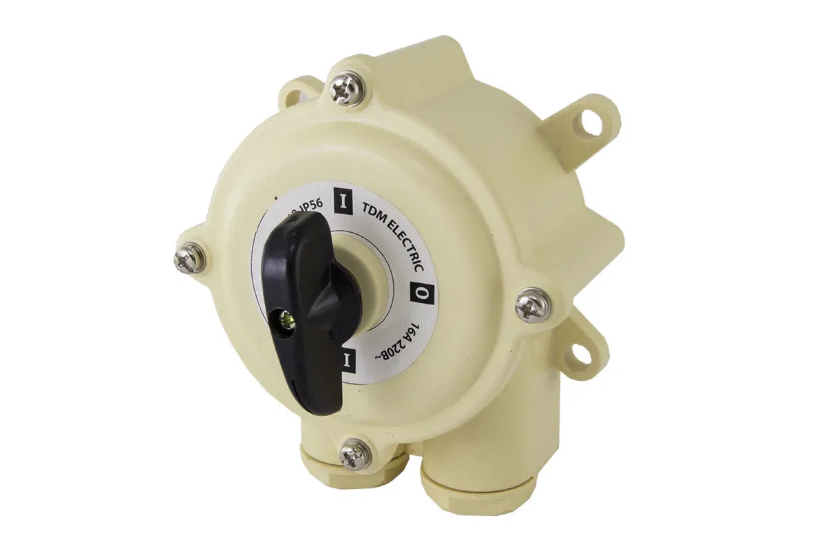 Пакетный выключатель ПВ2-40 2П 40А 220В IP56 TDM SQ0723-0014