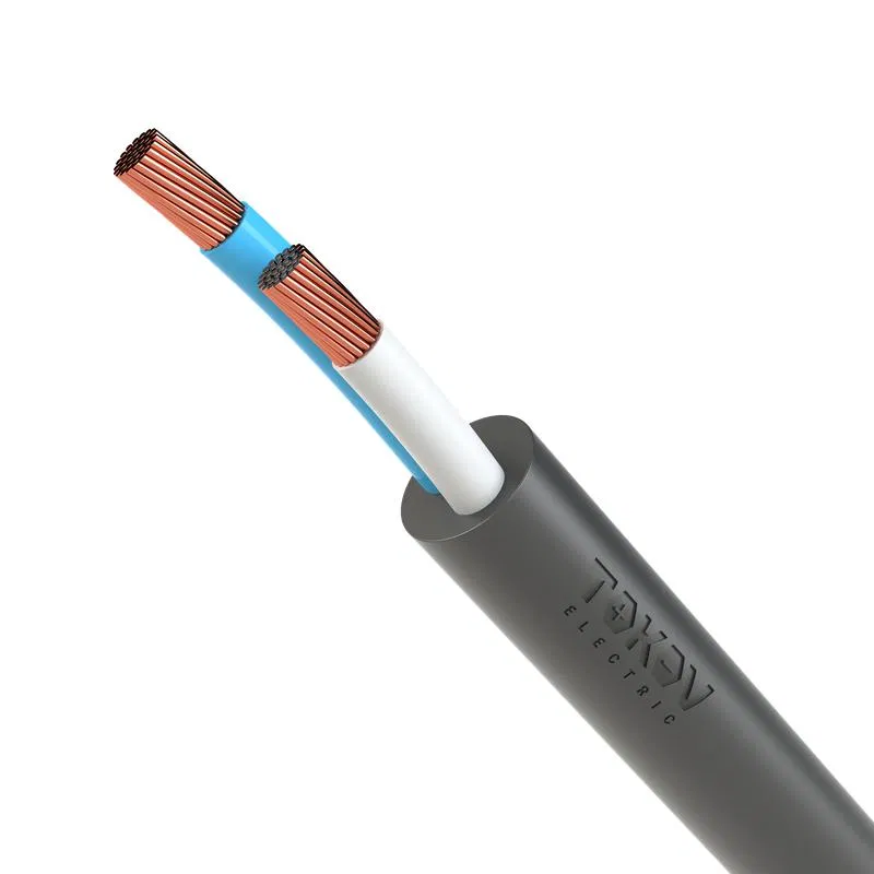 Кабель TOKOV ELECTRIC КГтп-ХЛ 2х1.0 380/660-3 (м) 00-00027179 TOKOV ELECTRIC КПП