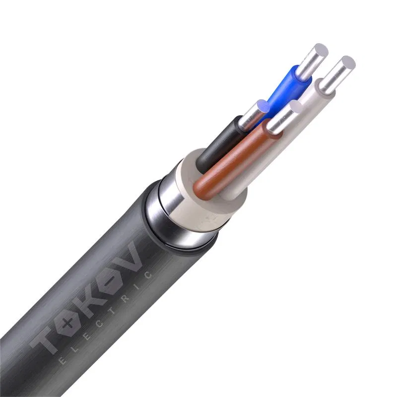 Кабель TOKOV ELECTRIC АВБШв 4х6 ОК (N) 0.66кВ (м) 00-00036295 TOKOV ELECTRIC КПП