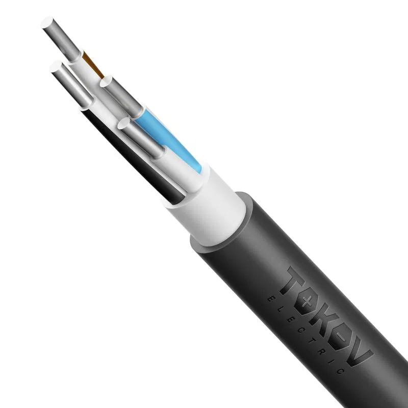 Кабель TOKOV ELECTRIC АВВГнг(А)-LS 4х2.5 ОК (N) 0.66кВ (уп.100м) 00-00036566 TOKOV ELECTRIC КПП