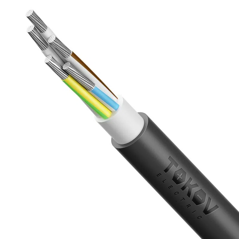 Кабель TOKOV ELECTRIC АВВГнг(А)-LS 5х50 МК (N PE) 0.66кВ (м) 00-00072436 TOKOV ELECTRIC КПП