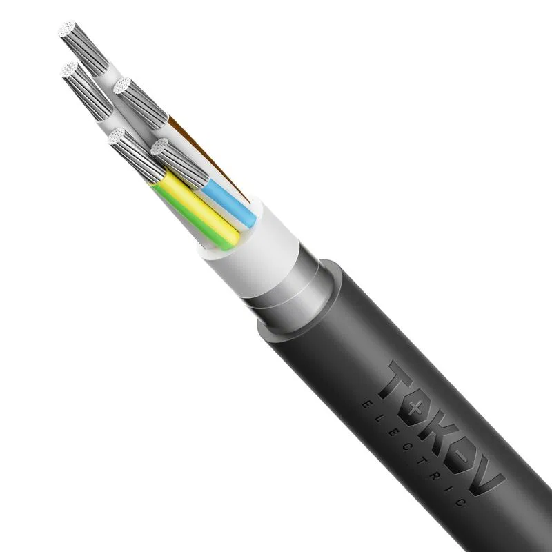 Кабель TOKOV ELECTRIC АВБШв 5х25 МК (N PE) 0.66кВ (м) 00-00072440 TOKOV ELECTRIC КПП