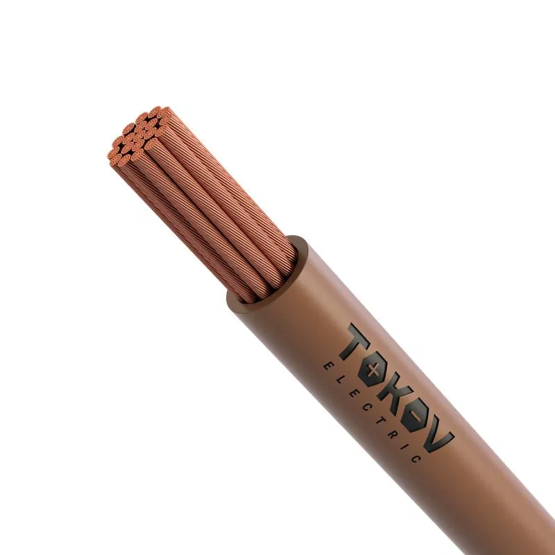 Провод TOKOV ELECTRIC ПуГВнг(А)-LS 1х2.5 Кор 450/750В (уп.100м) 000011530 TOKOV ELECTRIC КПП