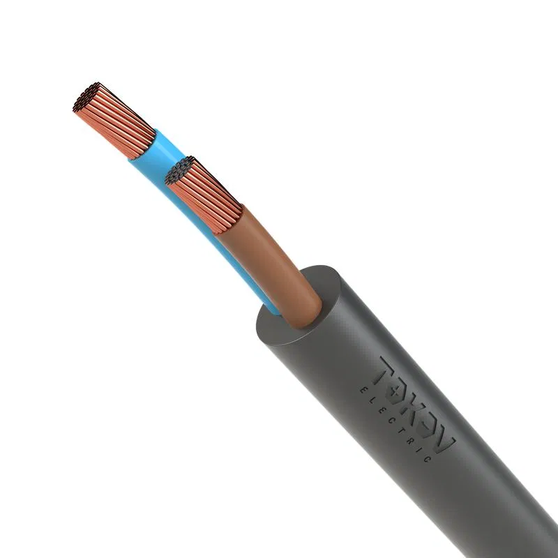 Провод TOKOV ELECTRIC ПВС 2х1.5 380В Ч (м) 1945481 TOKOV ELECTRIC КПП