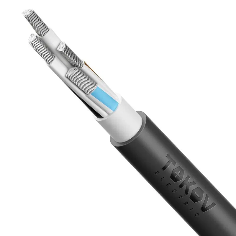 Кабель TOKOV ELECTRIC АВВГнг(А)-LS 4х70 МС (N) 1кВ (м) УТ000030792 TOKOV ELECTRIC КПП