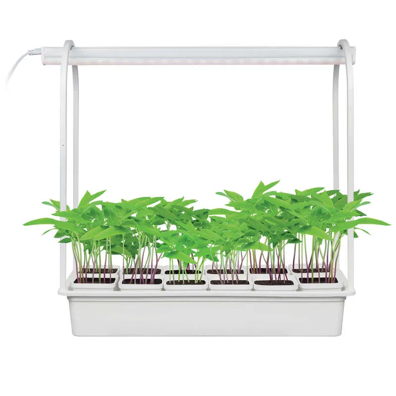 植物 LED 灯 ULT-P34-10W/SPSB WHITE IP40 带 "Минисад" 底座，育苗与开花光谱，12 个花盆 Uniel UL-00004149