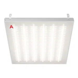 LED luminaire ДВО12-54-042-4К with БАП EM1 microprism STD WOLTA ДВО12-54-042-4К